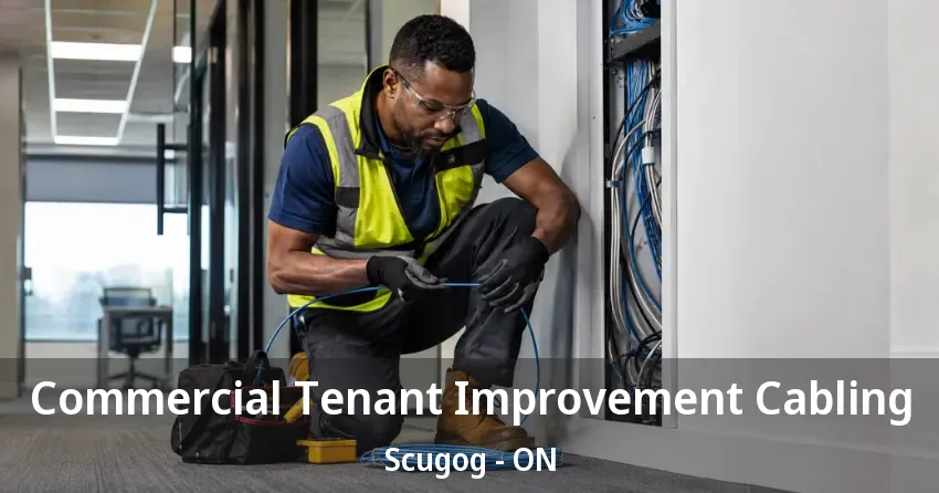 Commercial Tenant Improvement Cabling Scugog - ON Commercial Tenant Improvement Cabling Scugog - ON