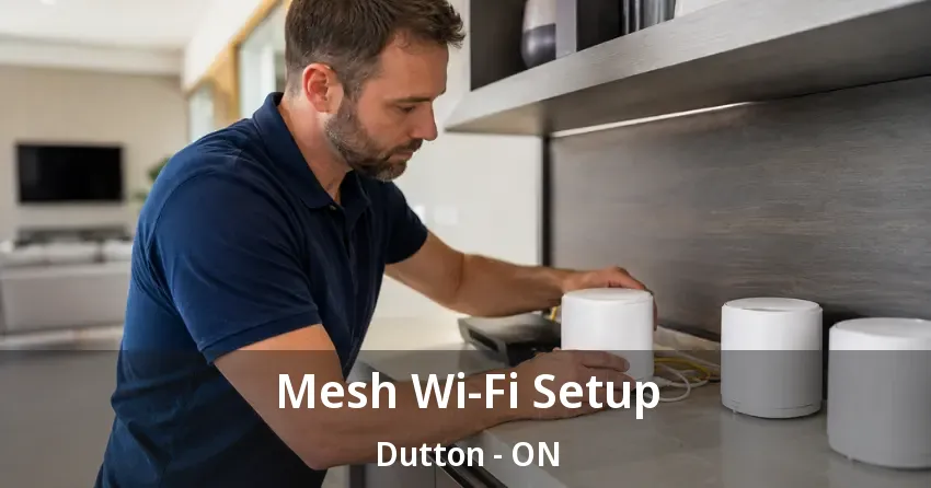 Mesh Wi-Fi Setup Dutton - ON